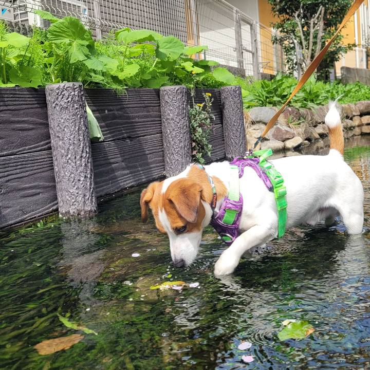 64827ae4 f739 411f 8685 5b4cc1516af5 1679630407400