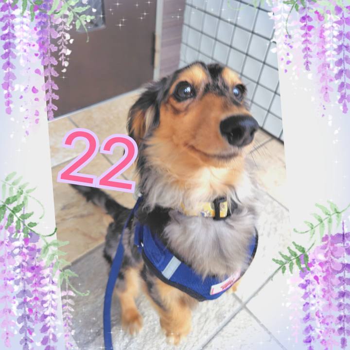 6482a20d 34d0 4ac4 a240 91ba7085b20b 1747370148478