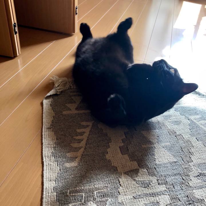 6482aad6 0ff8 4f41 8ae4 8e138a5efb1f 1539491002833