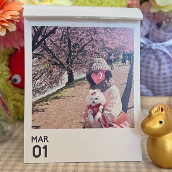 6482b2b6 4356 442a 90c3 44ec7bb32200 1772341418969