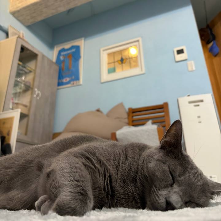 6482e2ac c4db 4259 9446 bcb1c8404fc0 1763796845266