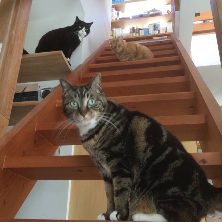 648334f2 5033 44c9 babc cfe10b93eed3 1586904156164