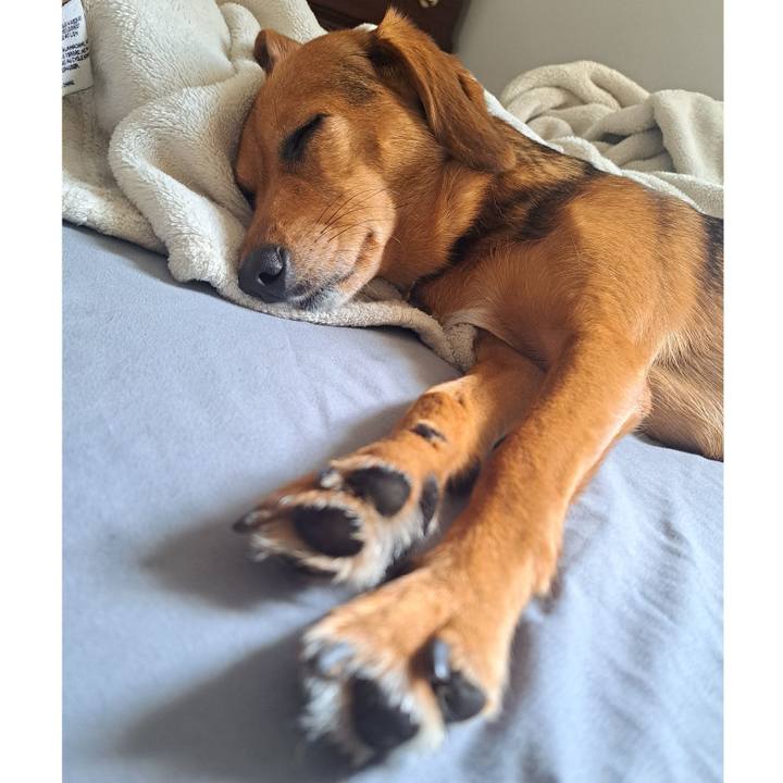 64837717 6560 4bd0 b6d3 7a458803d557 1757732569997