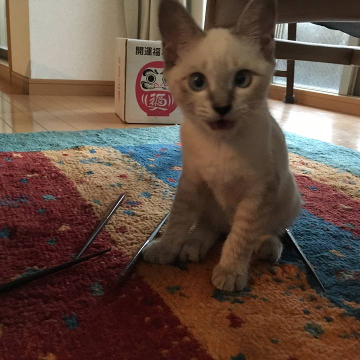 6483e235 ab79 45d6 bc2a ee247f90f84c 1534240759853