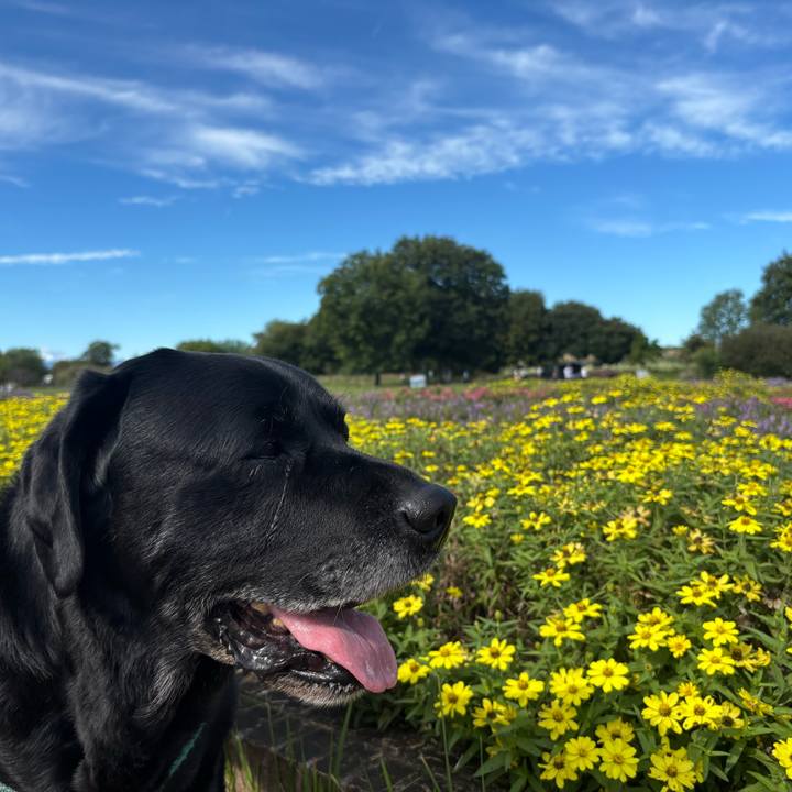 6483eb57 6568 4832 919c 0667238fff2d 1760446320263