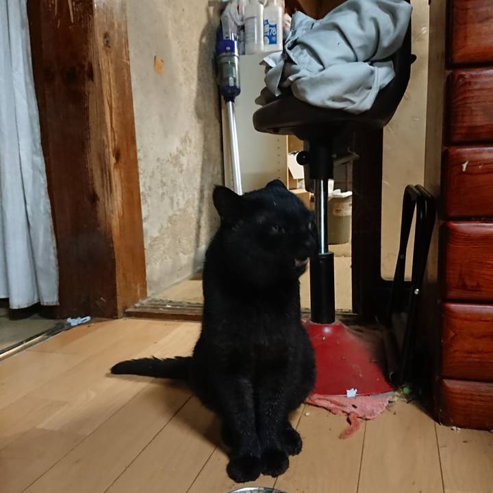 64841ff5 f01e 4522 8670 81635bbfb2b9 1661602093344