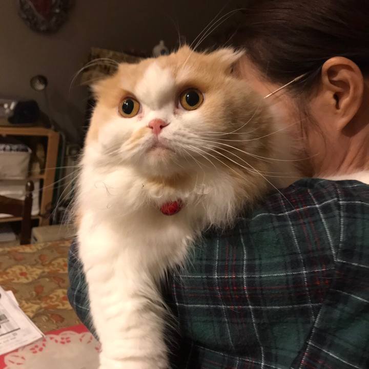 64843ef2 3218 4c6f b6c9 a898930aee9f 1576072567112