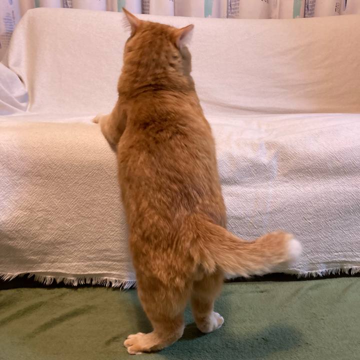 6484433c 31d2 46b9 bb3b 7fa015f7753a 1763805542674