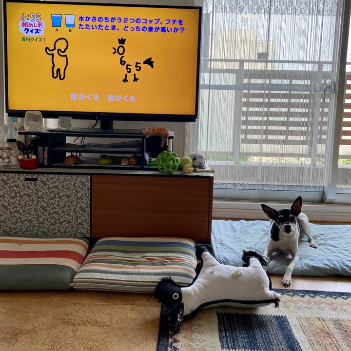 6484a040 1031 4ba5 9bee ae55c226577d 1625007880544