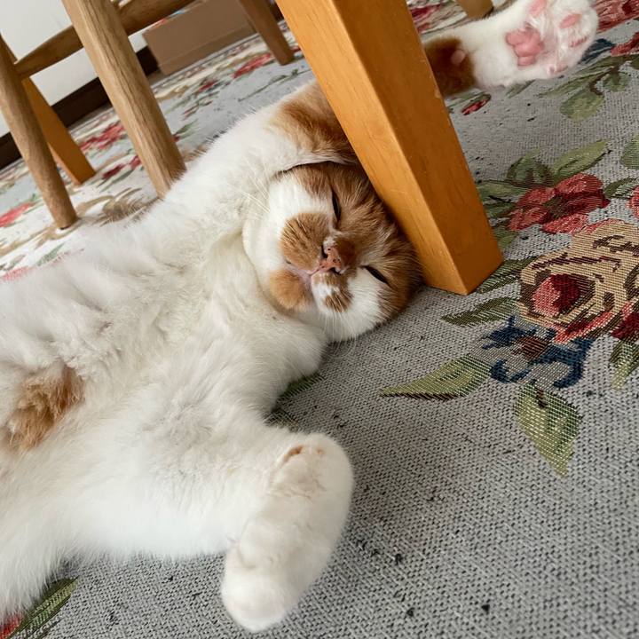 6485104b 6784 4dc0 a667 3f6b4d35ab14 1662251861132