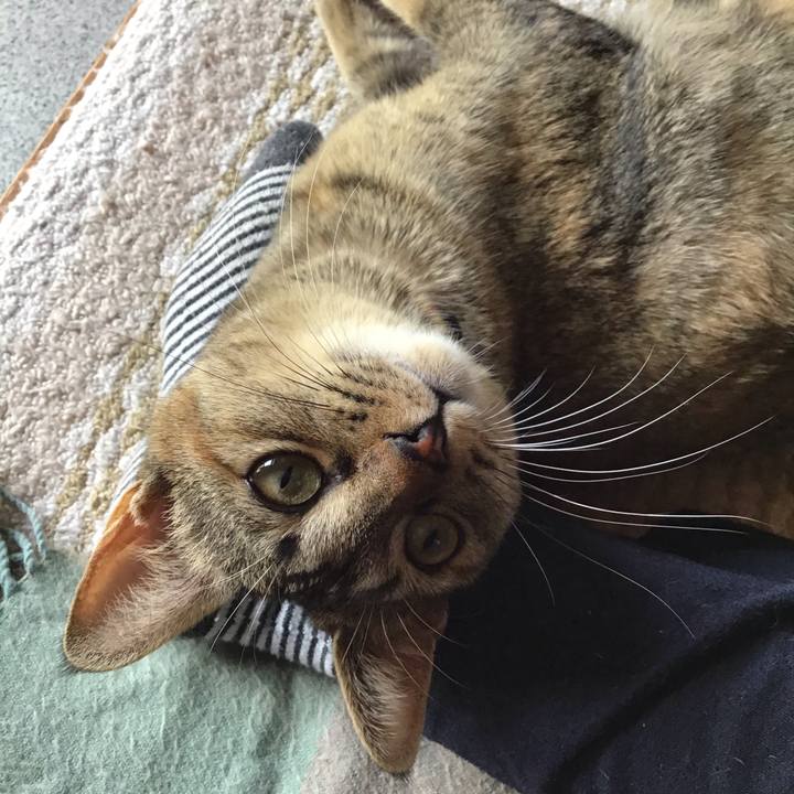 64852dca b285 413b 8bd2 7c31f70e26bc 1584345127422