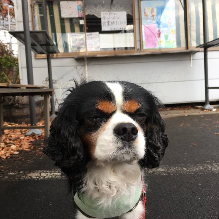 64854aa3 bb0b 4f4b 9097 e6682449e48b 1510395318791