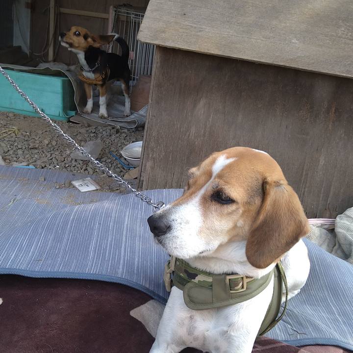 64857b15 a0cb 451c 8c66 5c5e054739bd 1668053242853