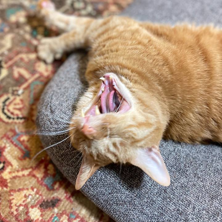 6485aefa f463 40e5 977e a2aeeb09857a 1707652573866