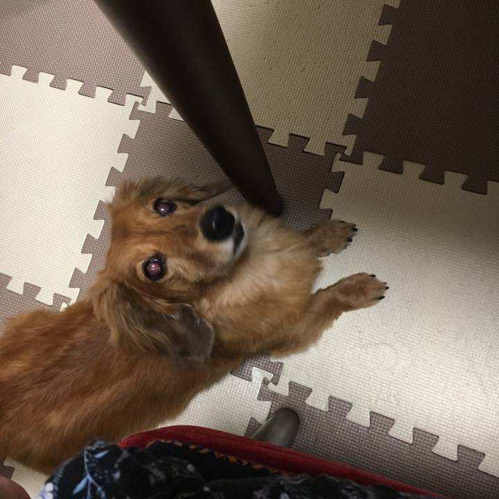 6485b36d fc86 4d8b ba96 35156fd37668 1529584322693