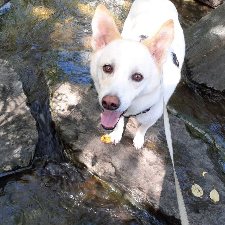 6485baa8 9b4e 470e a0ee 46e53d919208 1664596397936