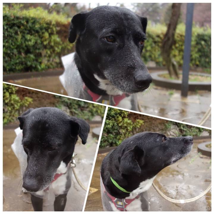 6485bb78 f23c 4afa 84e5 abaaa5dd4036 1647907728690