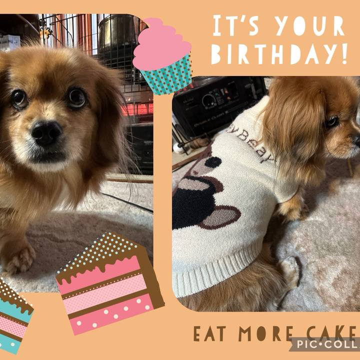 6485dd3c 2a21 4024 b8c5 ddf5173ad619 1708983265160