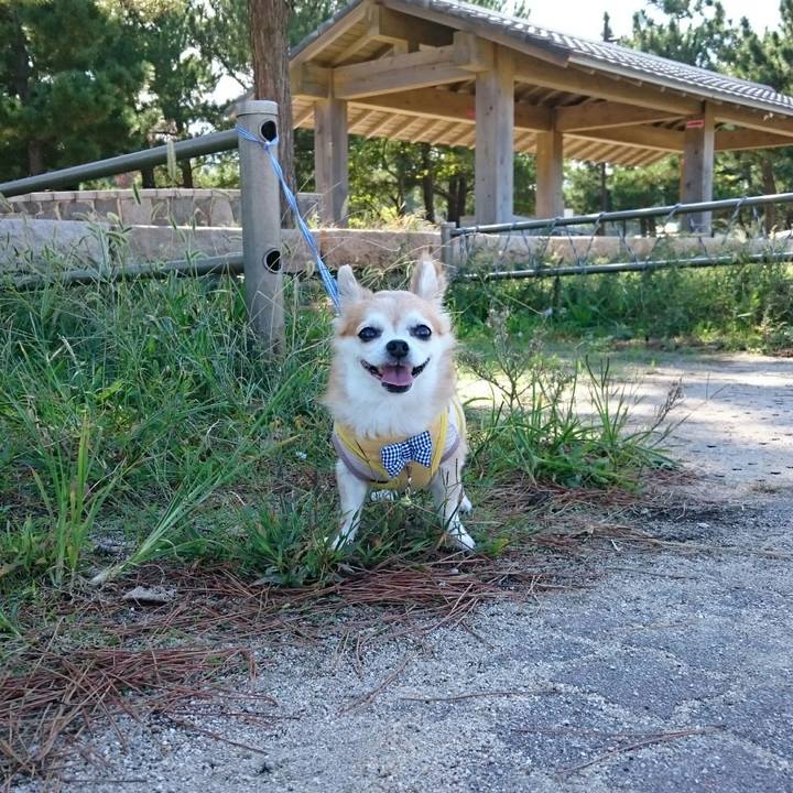 648608de 3568 42eb baf8 fbebdf77452f 1507451616894