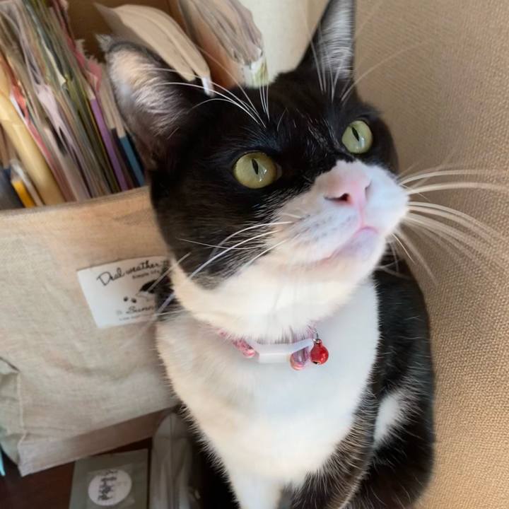 648611a1 bc6c 4d73 9aa2 cee3c3636cbb 1640837126766