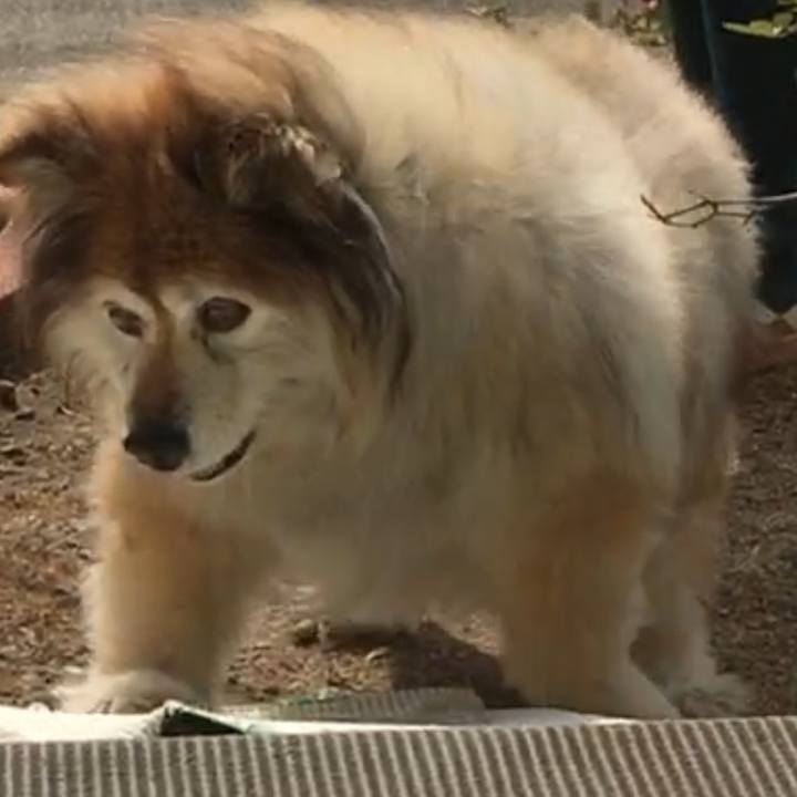 648621bb c559 4228 ab97 021bceede81f 1604773666446