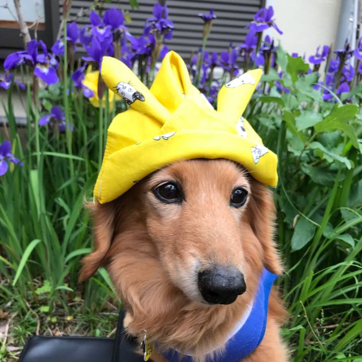 648623ff a94f 4791 81da 84764386fe93 1588745971799