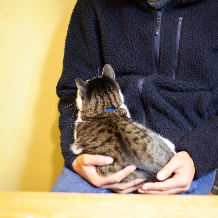 648642fe dbaa 450f bcab 3c0b4d2de6a8 1608005965096