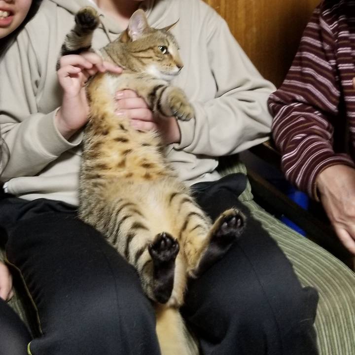 6486bc40 2795 4087 8d73 31b37bd7ff27 1646132899751