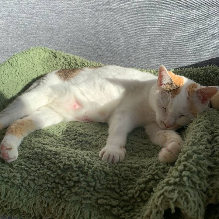 6486cd83 1764 42b1 9f66 a92077229706 1609248718340