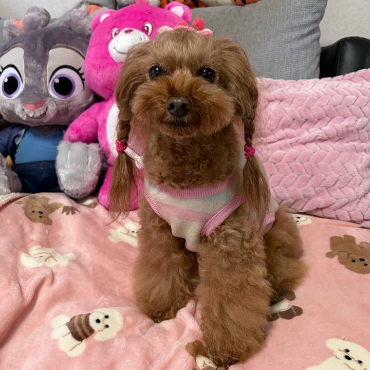 6486ee59 919a 46f8 96ff 0a45d17be037 1767157956208