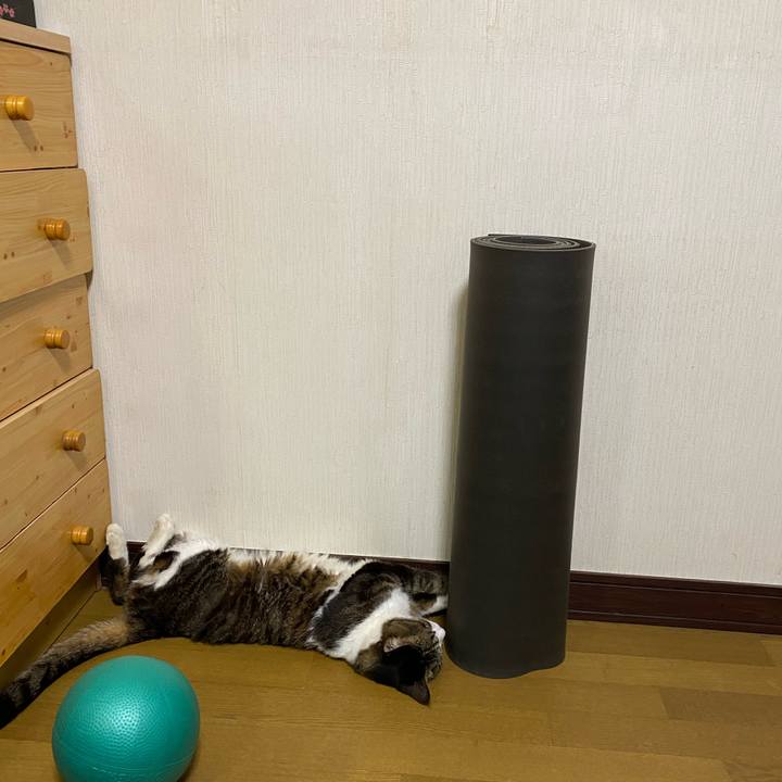 6487142b cf80 4b5b 9acd 9c74f46b8aab 1689587630229