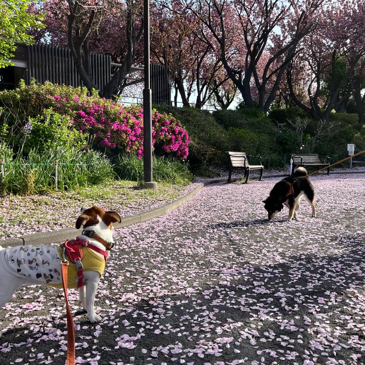 64872b13 8cb6 4566 9a62 30d679979872 1713497446806