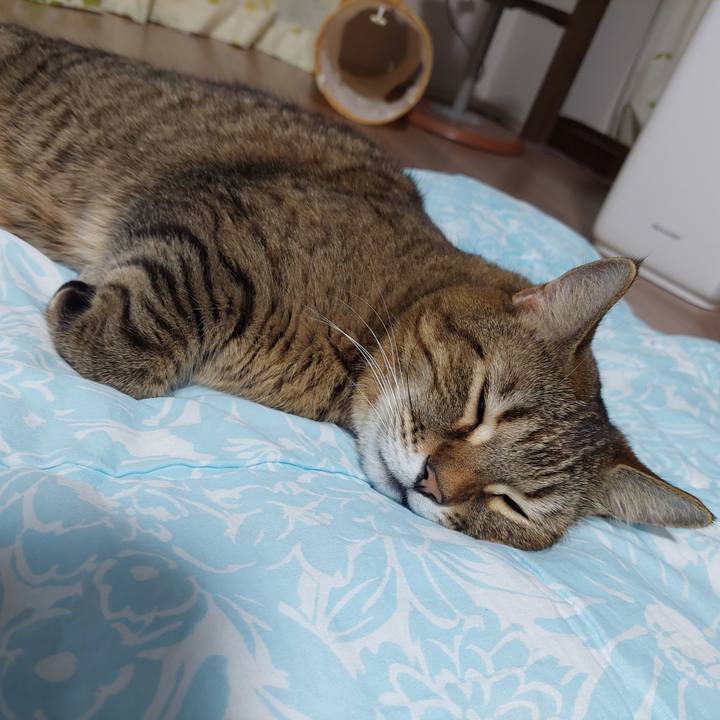 648731b5 ac05 43d0 b95a 28754e770d48 1642247126426