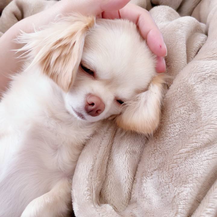 64876d66 5911 405f 8641 3d4312303700 1691572819081