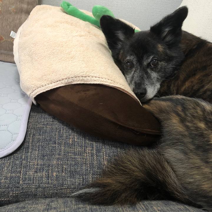 64878315 e3ff 498d 80b2 675b6d251368 1685410937993