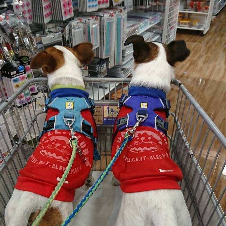 6487e813 4fa1 47e8 879f 877b3133e67e 1613208316124