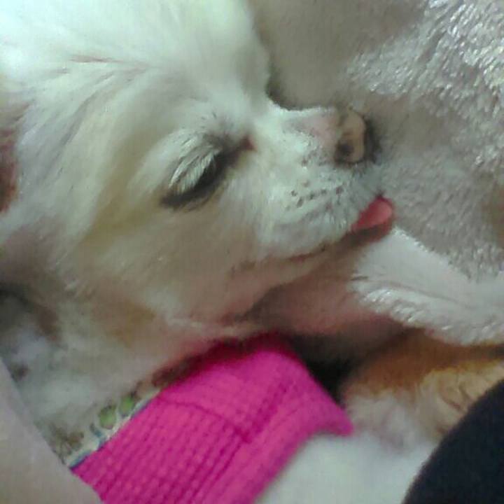 6487fdbd 82e1 4496 b8ce cd607d3f8304 1572706379247