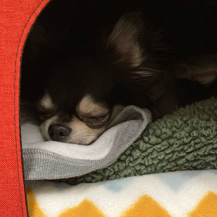 64880560 d77e 4c19 9f02 8ac62ab431d1 1640525645342