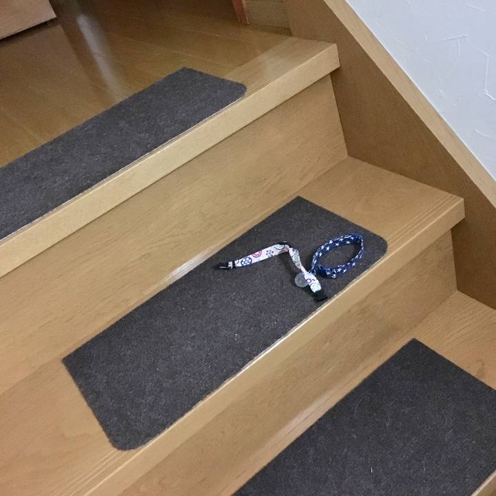 648806f0 c026 49b9 890c c377d26bca4c 1527824297401