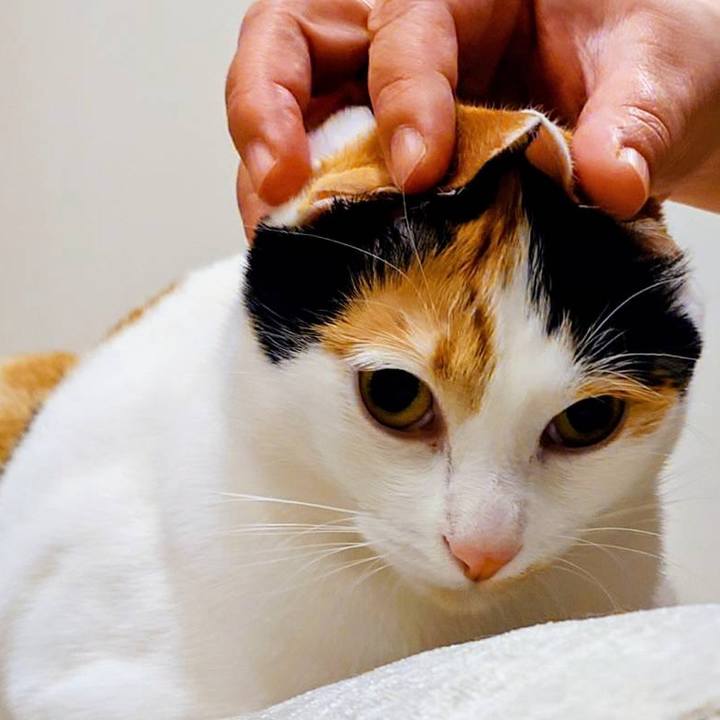 64883b4e 3d63 4b14 a2a1 046d1540b50f 1771197830710