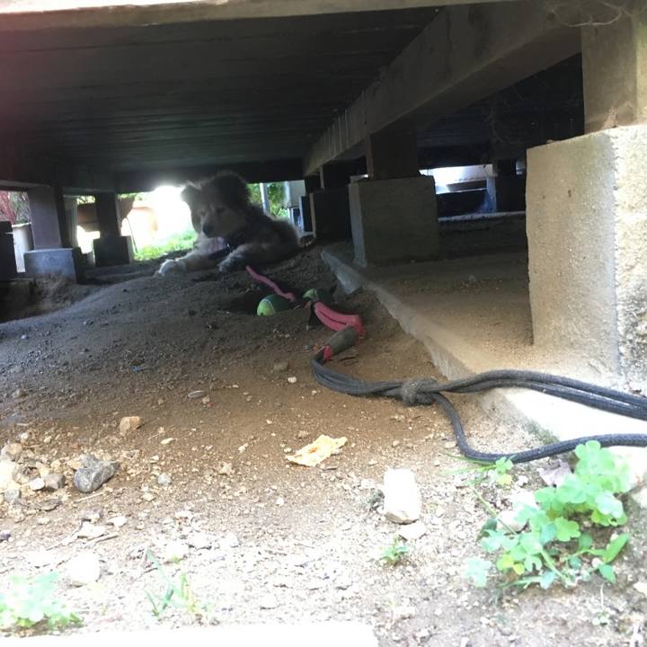 648843e3 9cbd 48b6 9051 34dd19c09820 1622360200631