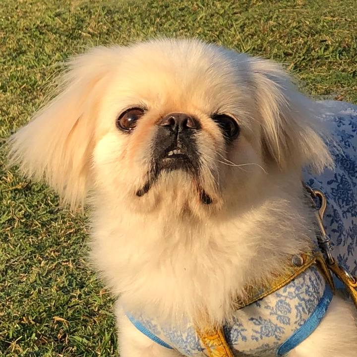 64885f00 269c 438d 8d59 9c35e11a5d42 1540160802719