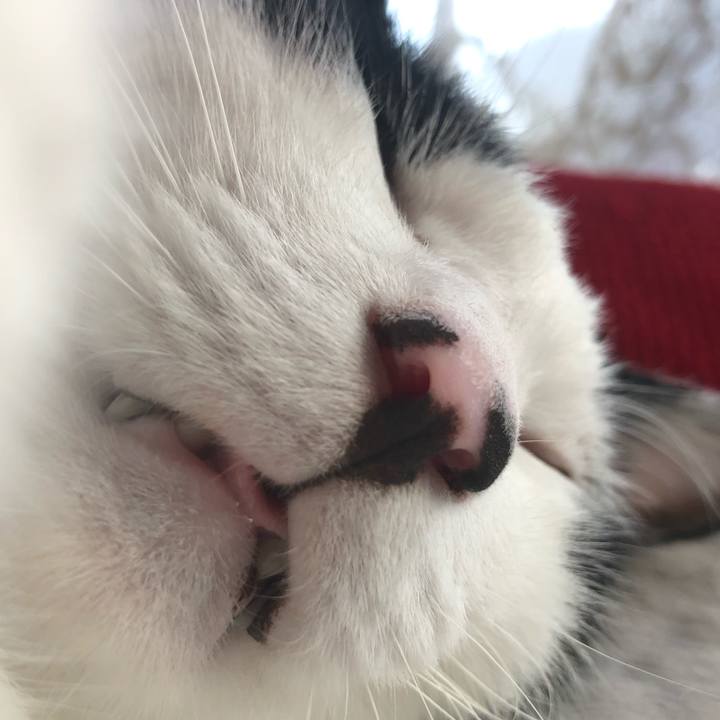 64888226 5666 4a73 bb36 ee0ede381bfa 1566630200309