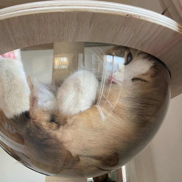 64888da6 7eef 400f a80f 4b6edb81ac60 1651308988796