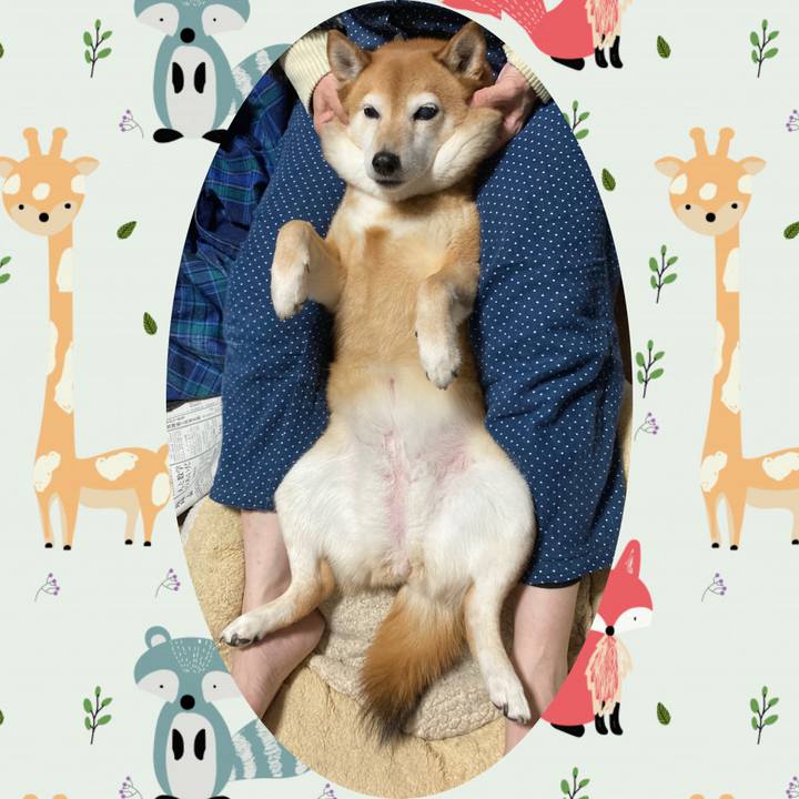 64888ee0 75d0 4e6a a78c a2ce6fb88159 1641732923647