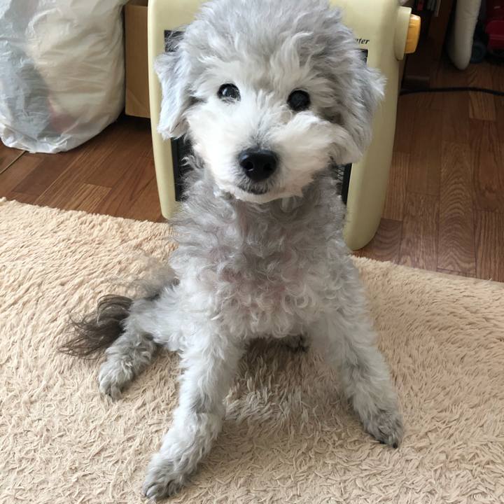 6488d156 a791 4c06 a06a ad5310d2e8cd 1573778983974