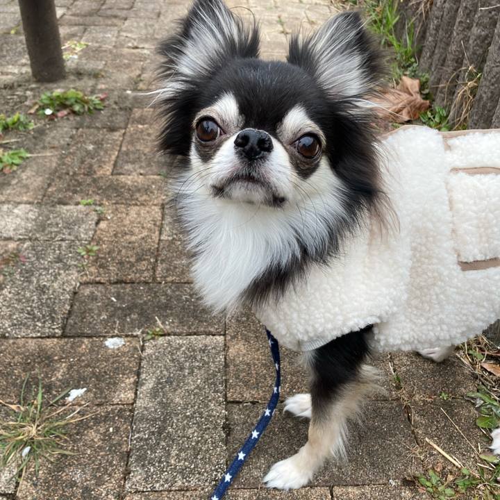 6488e4c6 f1b1 4430 b6cb 4aec621a7099 1644733836131