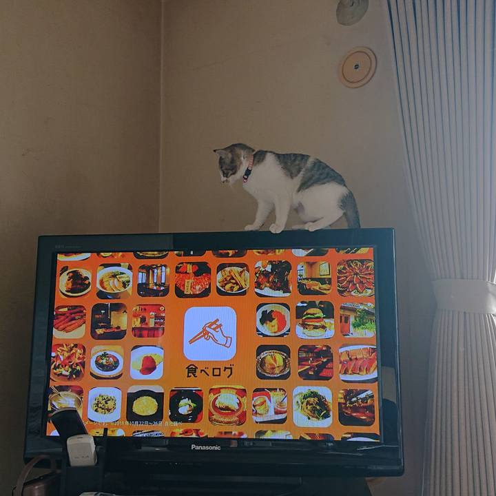 64897426 91ce 40f5 89c1 151c1f3299d4 1550983576435