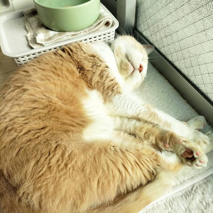 6489fc00 2369 47fc 9f0d 2757fd1d06fd 1667003789928