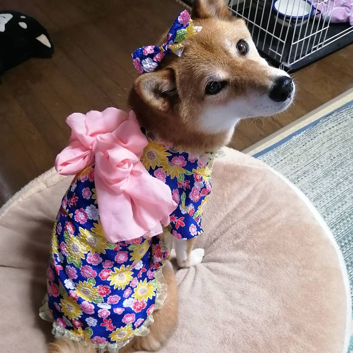 6489ff54 95bb 4690 8415 72933e6fd230 1593582777680